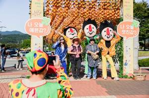 주홍빛 청도반시축제가 온다