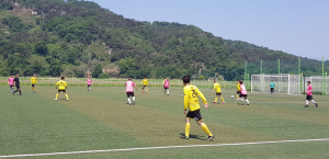 상주시체육회, 상주컵 전국유소년 클럽축구 페스티벌