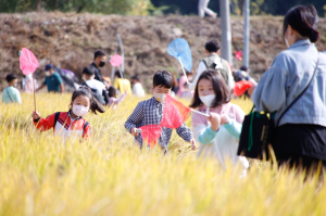 성주 황금들녘 메뚜기축제 제대로 즐겼다