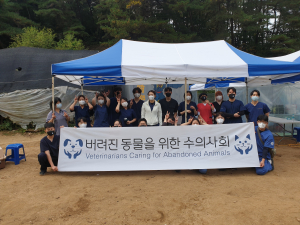 봉화서 마당개 중성화 수술 봉사활동 훈훈