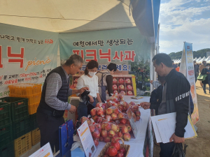 예천군 ‘피크닉 사과’ 3일 만에 2톤 판매