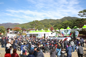 단풍 풍경 더해진 영주사과축제 29일 개막