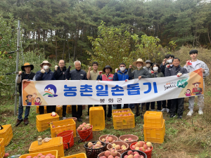 봉화 물야면, 일손부족으로 어려움 겪는 농가서 구슬땀