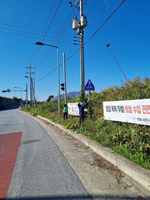 상주시 공성면 새마을부녀회, 불법 광고물 일제 정비