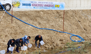경북 토종어류산업화센터, 포항 대송면서 어린동자개 방류