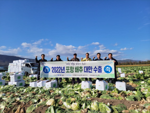 포항 죽장면 가을배추 첫 수출길 올라
