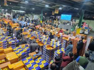 화재 피해 대구농수산물도매시장, 거래 실적 회복