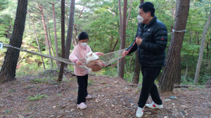 “검마산자연휴양림서 반려견과 함께 힐링해요”