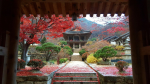“품격ㆍ우아함 최고 여행지는 영주”