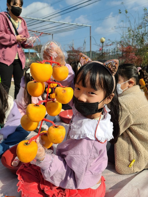 상주구마이곶감 정보화마을, 주황빛 곶감 만들기 체험