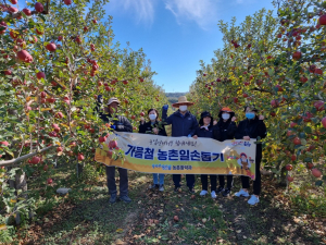 포항시, 가을철 사과농가 농촌일손돕기 실시
