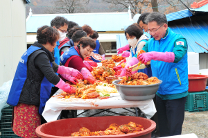 군위읍 여성자원봉사대, 이웃사랑 김장 나눔