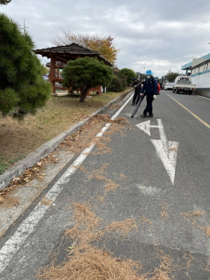 포항 청림동 행정복지센터, 자연정화활동
