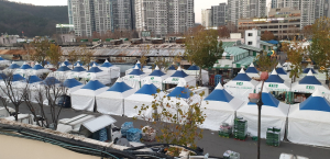 대구도매시장 정상화 안착 중