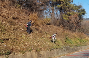 상주 외남면 새마을지도자協, 연도변 수목 제거 '구슬땀'