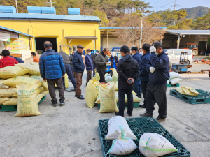 안동와룡농협 월곡지점, 잡곡수매 실시