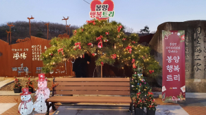 의성, 연말연시 맞이 봉양행복트리 점등행사