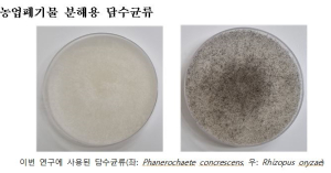 상주국립낙동강생물자원관, 농업폐기물 분해 젖산 전환 균류 2종 발굴