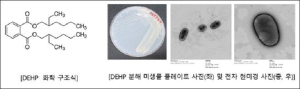 상주국립낙동강생물자원관, 플라스틱 가소제 분해 미생물 발견