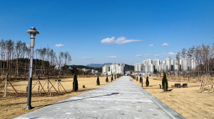 구미 쓰레기매립장을 숲으로…‘다온숲’ 조성