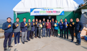 달콤ㆍ아삭 성주참외 첫 출하