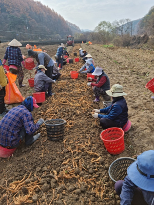 봉화군, 계절근로자 유치 ‘인력난 해결’
