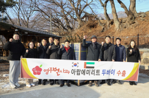 영주 별모양 사과 '가을스타' 두바이 수출길 올랐다