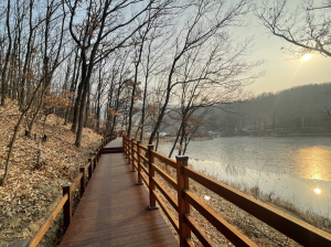 달성군, 오감만족 ‘명곡숲 산림욕장’ 개장