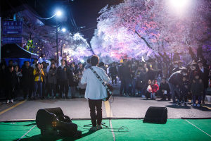 안동, 각양각색 사계절 축제 ‘시선집중’