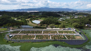 경산, 도시농업 공영농장 분양
