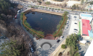 포항시, 올해도 도시숲 관리 만전