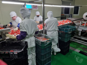고령 딸기, 농촌 융복합 산업지구 공모 선정
