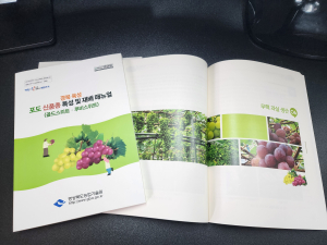 경북농업기술원, 포도 신품종 안정적 정착 지원…재배 길잡이 보급