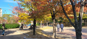 포항시, 올해 공원 관리 추진 계획 수립 시행