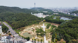 대구시, 113억 들여 도심 녹지공간 확충