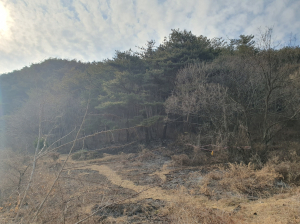 울진군, 산불 방화범 잡는다…“엄중 처벌”