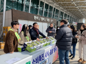영천시, 샤인머스캣 소비 촉진 홍보 행사