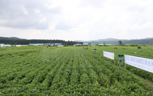 경주, 쌀 수급 안정…전략작물직불제 시행