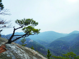 <편집국에서> 남산 용장곡에서 하루를 보내다