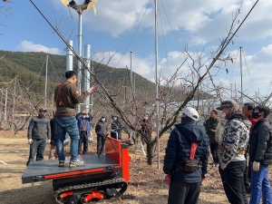 청도군, 과수 전정교육 실시