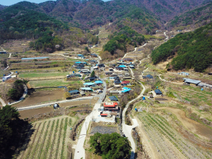 예천 지경터마을, 절반 이상이 귀농귀촌인