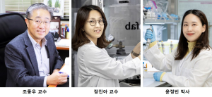 POSTECH 조동우 교수팀, 3D 바이오프린팅으로 ‘장-신장’ 이중장기 재현