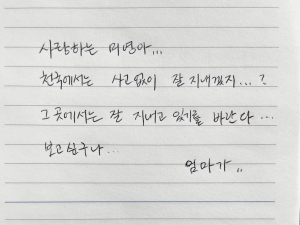 박남희 칠곡군의원 “대구지하철참사 아픔 반복돼선 안 돼”