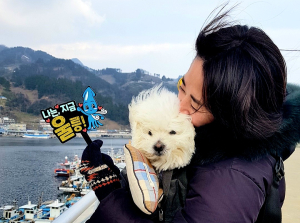 <포토>  반려견과 울릉도 여행