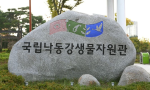 상주국립낙동강생물자원관, 구글 협업 ‘DMZ 온라인 전시’