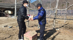 포항, 과수농가에 방제약제 공급…‘과수 화상병’ 차단