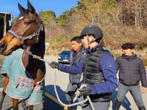 ‘상주 국제승마장’, 영풍영농조합법인용인지점서 승용마 3필 기증받아