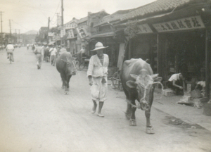 사진으로 보는 1950년대 대구의 거리풍경