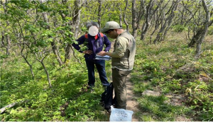 소백산국립공원사무소, 봄철 임산물 채취 행위 단속 강화