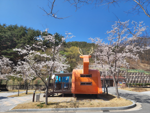 봄철 손님맞이 나선 ‘봉화 청량산캠핑장’